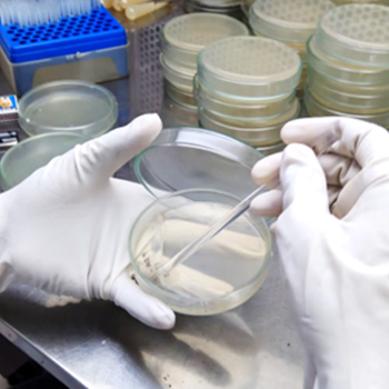Plant Pathology & Microbiology Plant Pathology & Microbiology