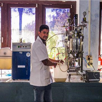 Plant Pathology & Microbiology Plant Pathology & Microbiology